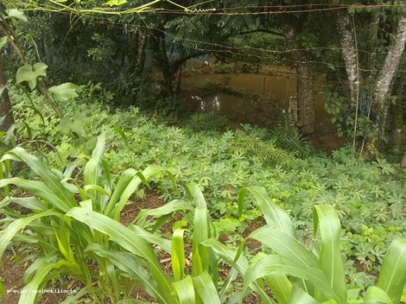 Imagem Chácara à Venda, em Consultar - Ibiúna Imagem Chácara à Venda, em Consultar - Ibiúna
