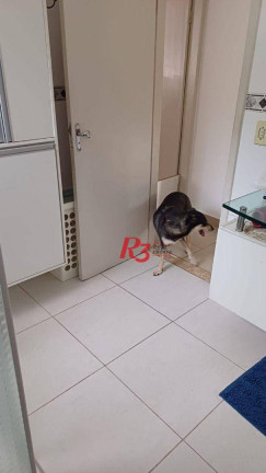 Imagem Casa com 4 Quartos à Venda, 300 m² em Jabaquara - Santos Imagem Casa com 4 Quartos à Venda, 300 m² em Jabaquara - Santos