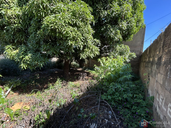 Imagem Terreno à Venda, 465 m² em São Francisco - Patos De Minas Imagem Terreno à Venda, 465 m² em São Francisco - Patos De Minas