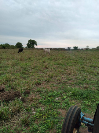 Imagem Fazenda à Venda, 1.100 m² em Zona Rural - Jangada Imagem Fazenda à Venda, 1.100 m² em Zona Rural - Jangada