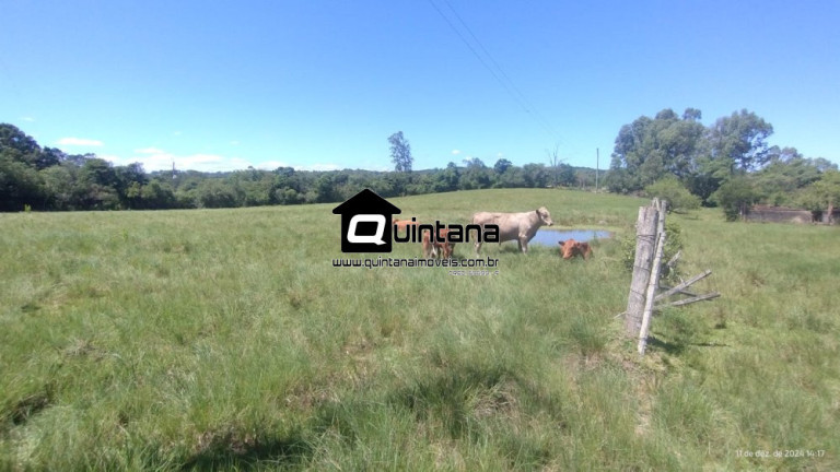 Imagem Imóvel com 2 Quartos à Venda, 50.000 m² em Capela Da Buena - Morro Redondo Imagem Imóvel com 2 Quartos à Venda, 50.000 m² em Capela Da Buena - Morro Redondo