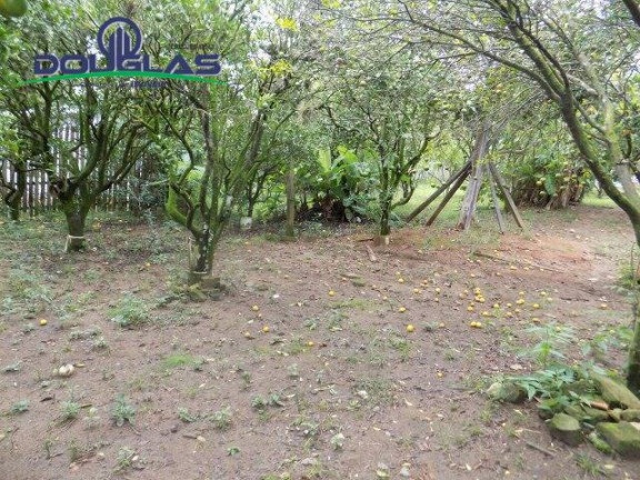 Imagem Casa com 4 Quartos à Venda, 3.258 m² em Estalagem  - Viamão