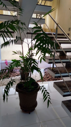 Imagem Casa com 3 Quartos à Venda, 450 m² em Condomínio Reserva Dos Vinhedos - Louveira