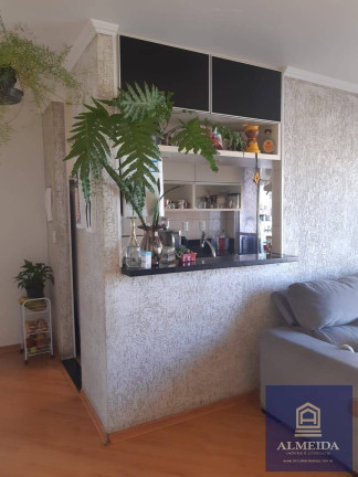 Imagem Apartamento com 3 Quartos à Venda, 65 m² em Jardim São Luís - São Paulo