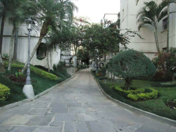 Imagem Apartamento com 2 Quartos à Venda ou Locação, 78 m² em Jardim Marajoara - São Paulo Imagem Apartamento com 2 Quartos à Venda ou Locação, 78 m² em Jardim Marajoara - São Paulo