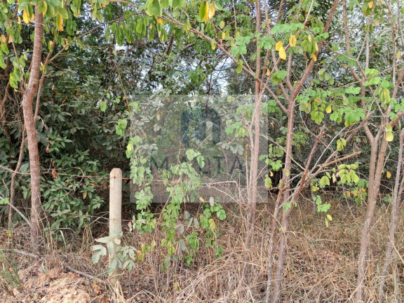 Imagem Terreno à Venda, 50.000 m² em Palmital - Lagoa Santa Imagem Terreno à Venda, 50.000 m² em Palmital - Lagoa Santa