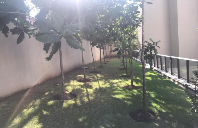 Imagem Apartamento com 2 Quartos à Venda, 80 m² em Morumbi - São Paulo
