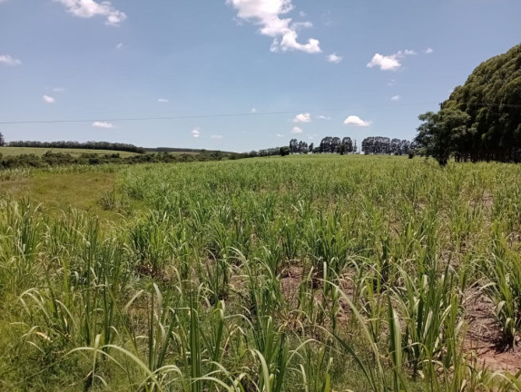 Imagem Imóvel à Venda, 25 m² em área Rural De Pratânia - Pratânia Imagem Imóvel à Venda, 25 m² em área Rural De Pratânia - Pratânia