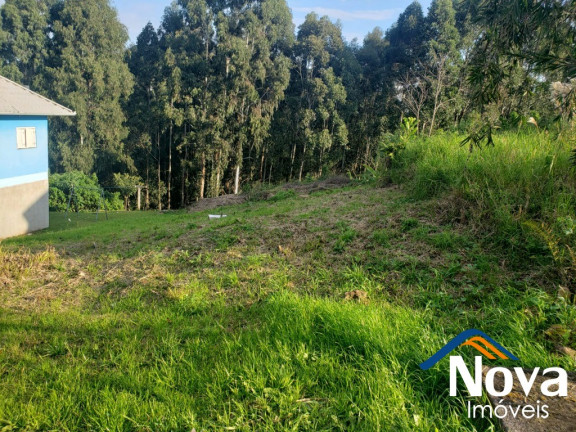 Imagem Imóvel à Venda, 450 m² em Br116 - Nova Petrópolis Imagem Imóvel à Venda, 450 m² em Br116 - Nova Petrópolis