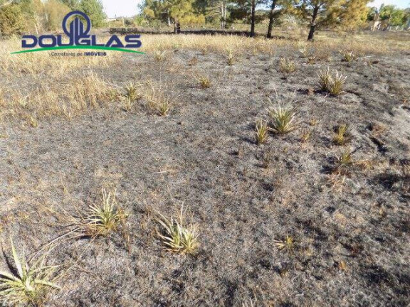 Imagem Terreno à Venda, 853 m² em Viamão Imagem Terreno à Venda, 853 m² em Viamão