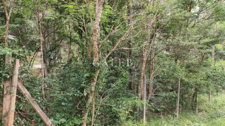 Imagem Terreno à Venda, 652 m² em Bosque Dos Eucaliptos - Atibaia Imagem Terreno à Venda, 652 m² em Bosque Dos Eucaliptos - Atibaia