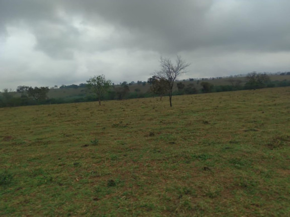 Imagem Fazenda à Venda, 730 m² em Rural - Corguinho