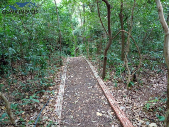 Imagem Chácara com 2 Quartos à Venda, 14.000 m² em Estrada Santa Fe - Marialva Imagem Chácara com 2 Quartos à Venda, 14.000 m² em Estrada Santa Fe - Marialva