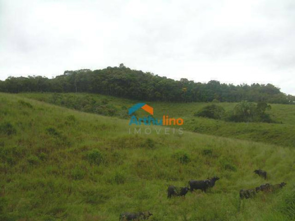 Imagem Terreno à Venda, 194.153 m² em Vila Aparecida - Suzano Imagem Terreno à Venda, 194.153 m² em Vila Aparecida - Suzano