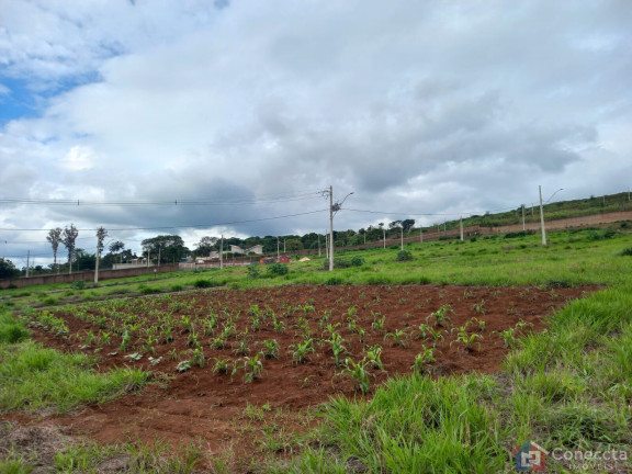 Imagem Terreno à Venda, 364 m² em Alto Dos Caiçaras - Patos De Minas