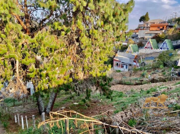 Imagem Terreno à Venda, 360 m² em Jardim Márcia - Campos Do Jordão Imagem Terreno à Venda, 360 m² em Jardim Márcia - Campos Do Jordão
