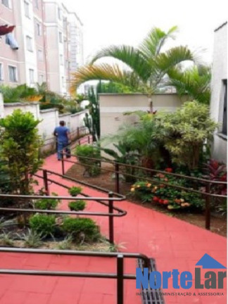 Imagem Apartamento com 2 Quartos à Venda, 46 m² em Jaraguá - São Paulo Imagem Apartamento com 2 Quartos à Venda, 46 m² em Jaraguá - São Paulo
