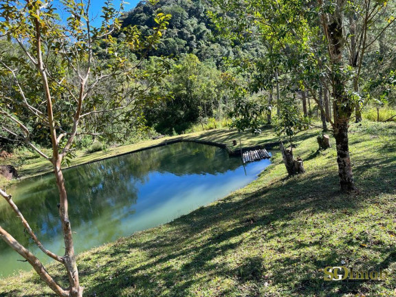 Imagem Chácara com 4 Quartos à Venda, 52.000 m² em Miracatu Imagem Chácara com 4 Quartos à Venda, 52.000 m² em Miracatu
