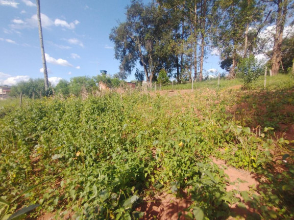 Imagem Chácara com 1 Quarto à Venda, 45 m² em Mateus Leme