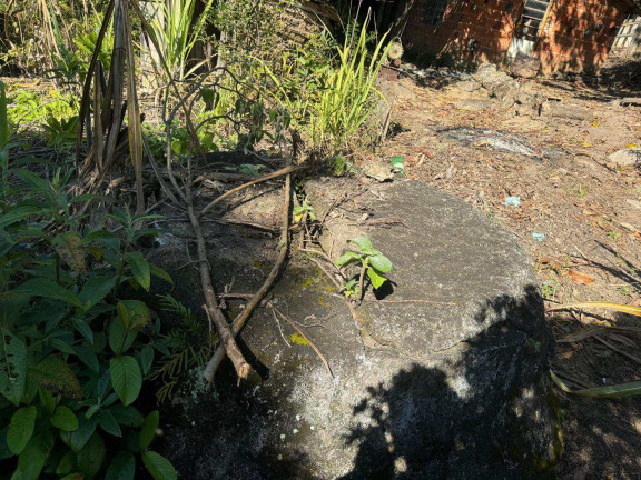 Imagem Terreno à Venda, 3.800 m² em Oliveiras - Piedade Imagem Terreno à Venda, 3.800 m² em Oliveiras - Piedade