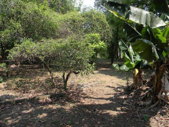 Imagem Chácara com 4 Quartos à Venda, 500 m² em Esplanada Independência - Taubaté