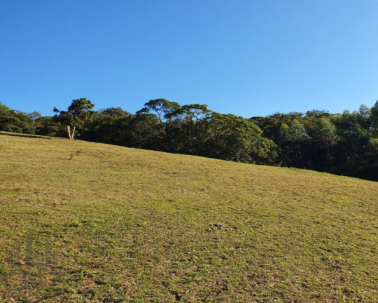Imagem Imóvel com 1 Quarto à Venda, 96.000 m² em Dom Joaquim - Brusque Imagem Imóvel com 1 Quarto à Venda, 96.000 m² em Dom Joaquim - Brusque