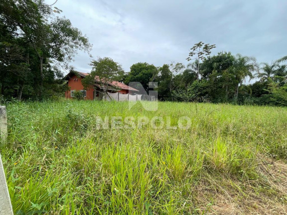 Imagem Terreno à Venda,  em Praia Do Estaleiro - Balneario Camboriu