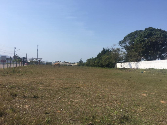 Imagem Terreno à Venda, 3.150 m² em São João Do Rio Vermelho - Florianópolis