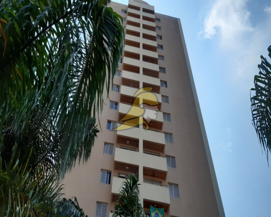 Imagem Apartamento com 3 Quartos à Venda, 65 m² em Jardim Jaqueline - São Paulo