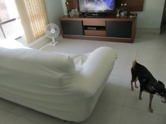 Imagem Apartamento com 2 Quartos à Venda, 90 m² em Aparecida - Santos Imagem Apartamento com 2 Quartos à Venda, 90 m² em Aparecida - Santos