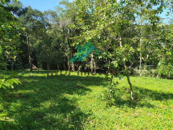 Imagem Terreno à Venda, 1.977 m² em Cachoeira - Curitiba Imagem Terreno à Venda, 1.977 m² em Cachoeira - Curitiba