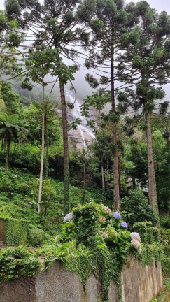 Imagem Terreno à Venda, 31.600 m² em Posse - Teresópolis Imagem Terreno à Venda, 31.600 m² em Posse - Teresópolis