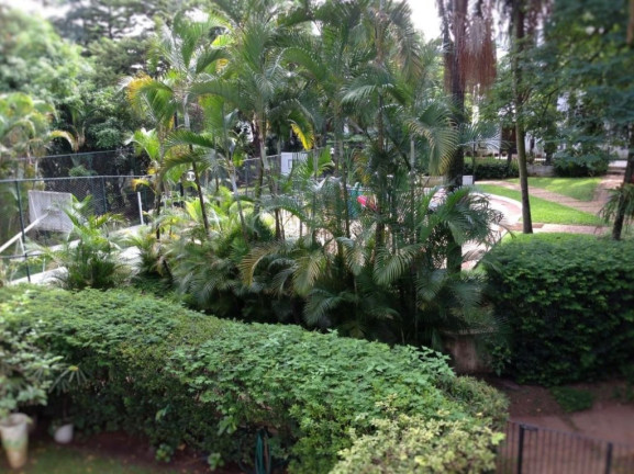 Imagem Casa com 4 Quartos à Venda, 360 m² em Jardim Marajoara - São Paulo Imagem Casa com 4 Quartos à Venda, 360 m² em Jardim Marajoara - São Paulo