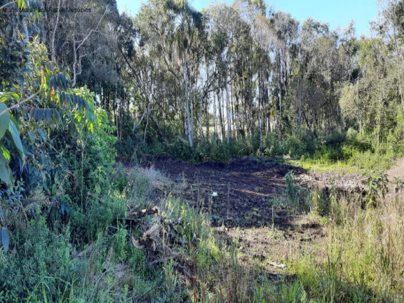 Terreno à Venda, 370 m² em Linha Imperial - Nova Petrópolis