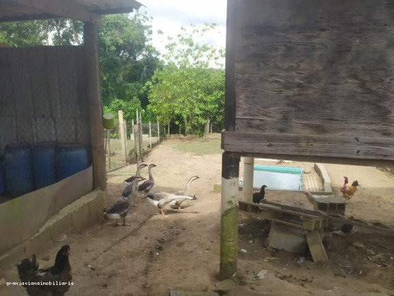 Imagem Chácara à Venda, em Bairro Da Vargem Do Salto - Ibiúna Imagem Chácara à Venda, em Bairro Da Vargem Do Salto - Ibiúna