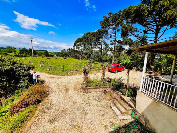 Imagem Chácara à Venda, 9.700 m² em Rio Da Várzea - Quitandinha Imagem Chácara à Venda, 9.700 m² em Rio Da Várzea - Quitandinha