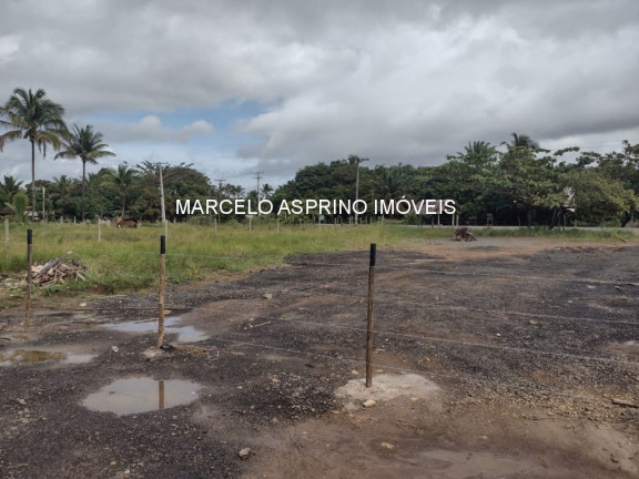 Imagem Imóvel à Venda, 1.000 m² em Sargi - Uruçuca Imagem Imóvel à Venda, 1.000 m² em Sargi - Uruçuca