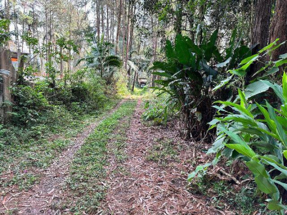 Imagem Chácara com 2 Quartos à Venda, 6.484 m² em Núcleo Sampaio Vidal - Mauá