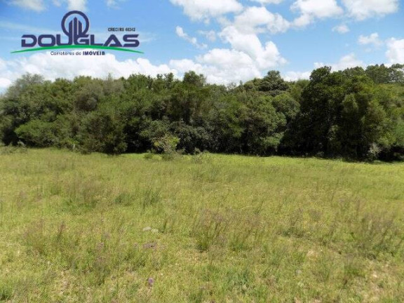 Imagem Chácara com 2 Quartos à Venda, 190.000 m² em Viamão