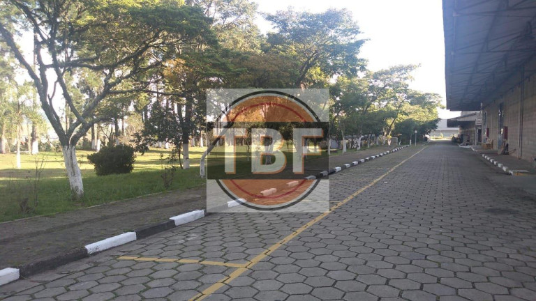 Imagem Imóvel à Venda, 5.000 m² em Vila Rosina - Caieiras