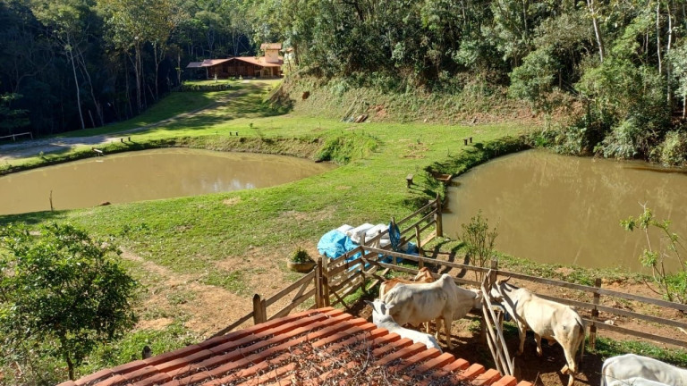 Imagem Chácara com 4 Quartos à Venda, 300 m² em Morro Azul - Paraibuna Imagem Chácara com 4 Quartos à Venda, 300 m² em Morro Azul - Paraibuna