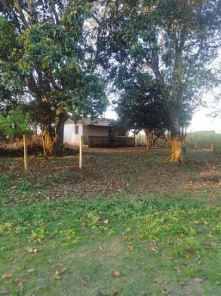 Imagem Chácara com 3 Quartos à Venda, 31.000 m² em Centro - Tamarana Imagem Chácara com 3 Quartos à Venda, 31.000 m² em Centro - Tamarana