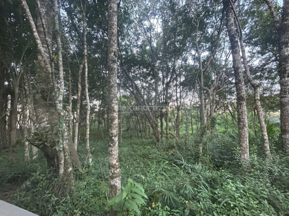 Imagem Terreno à Venda, 15.000 m² em Bombas - Bombinhas Imagem Terreno à Venda, 15.000 m² em Bombas - Bombinhas