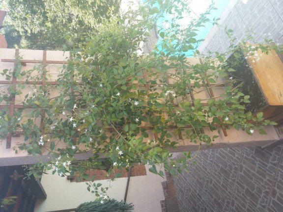 Imagem Chácara com 5 Quartos à Venda, 791 m² em Bairro Da Mina - Itupeva Imagem Chácara com 5 Quartos à Venda, 791 m² em Bairro Da Mina - Itupeva
