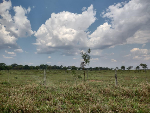 Imagem Fazenda à Venda, 3.400 m² em Rural - Campo Grande