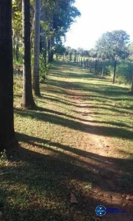 Imagem Chácara à Venda, 1 m² em Zona Rural - São Francisco De Goiás Imagem Chácara à Venda, 1 m² em Zona Rural - São Francisco De Goiás