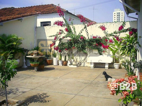 Imagem Casa com 3 Quartos à Venda, 270 m² em Vila Santa Tereza - Bauru Imagem Casa com 3 Quartos à Venda, 270 m² em Vila Santa Tereza - Bauru