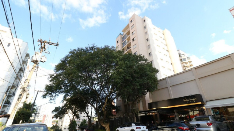 Imagem Apartamento com 2 Quartos à Venda, 56 m² em Vila Mascote - São Paulo Imagem Apartamento com 2 Quartos à Venda, 56 m² em Vila Mascote - São Paulo