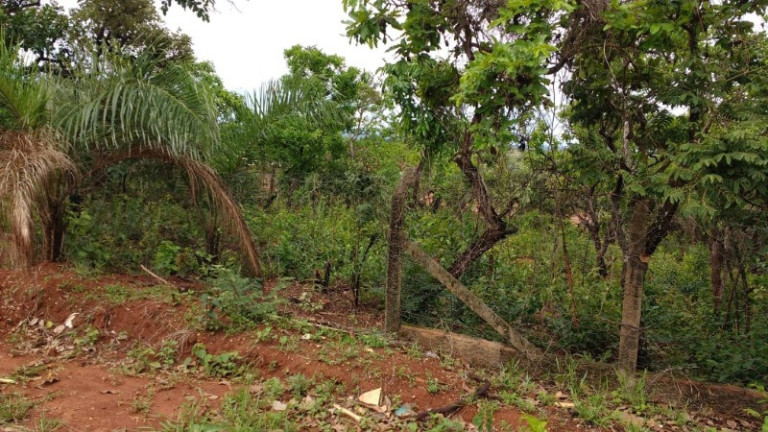 Imagem Terreno à Venda, 1.000 m² em Braúnas - Juatuba Imagem Terreno à Venda, 1.000 m² em Braúnas - Juatuba