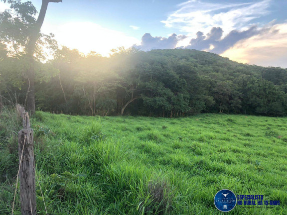 Imagem Chácara à Venda, 11 m² em Zona Rural - Jaraguá Imagem Chácara à Venda, 11 m² em Zona Rural - Jaraguá